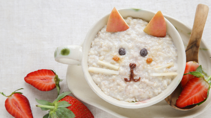 Can Cats Eat Porridge Oats